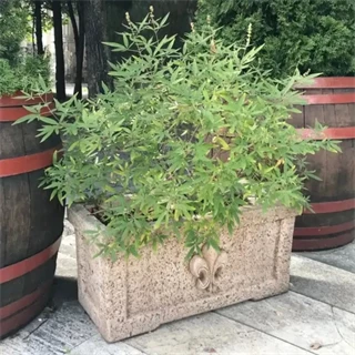 Jován Firenze 75 láda, barna JVI0160201 Jován Firenze 75 láda, barna JVI0160201