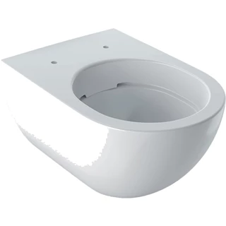 Geberit Acanto fali WC, mélyöblítésű, zárt forma, Rimfree, 51cm 500.600.01.2