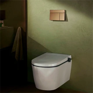 Hansgrohe iFrame Element E nyomólap, dual mennyiség, szálcsiszolt bronz 66003140