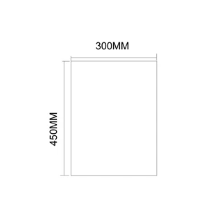 Sapho AQUALINE csiszolt tükör akasztó nélkül, 30x45cm 22490
