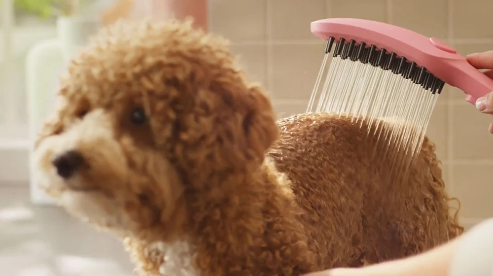 ÚJDONSÁG - Hansgrohe DogShower